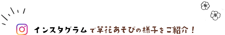 インスタグラムで草花あそびの様子をご紹介！