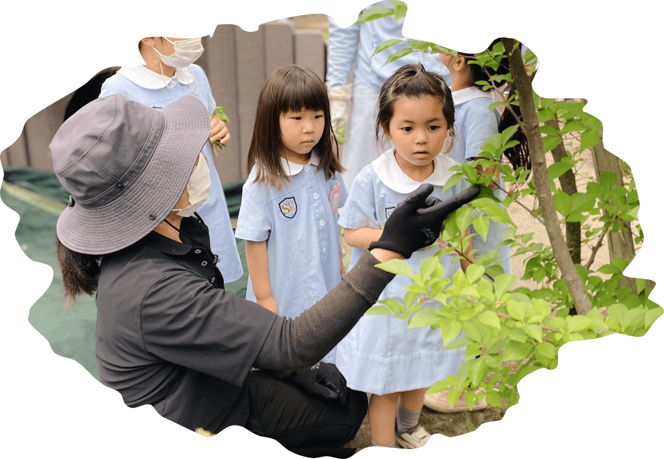 草花が園庭あそびを豊かにする