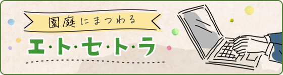 スタッフブログ