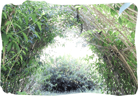 こどもみらい&reg; スライド2